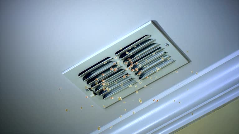 Best General Air Duct Cleaning  in Paducah, TX